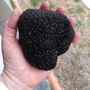 tartufo nero del Monferrato lavorazione per produttore di tartufi artigianali