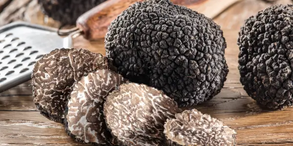 Tartufo nero e le sue varietà: la scheda completa